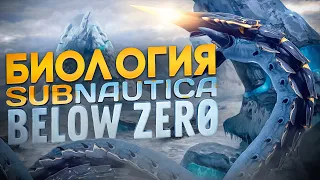 Биология игры Subnautica Below Zero | Ч.1| Спекулятивная биология