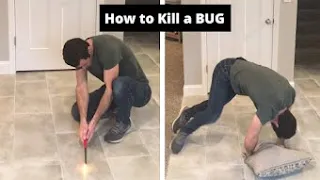 How different ages kill a bug. #tiktok #howtokillabug #comedy