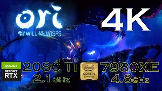 Ori and the Will of the Wisps | 4K | RTX 2080 Ti | i9 7980XE