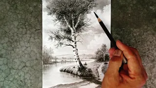 How to draw birch tree of spring summer landscape by pencil.