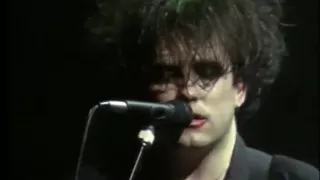 The Cure   A Forest Live