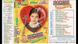 Kaash Tum Mujhse Ek Baar Kaho ( Eagle Super Digital Jhankar ) Movie Aatish 1994
