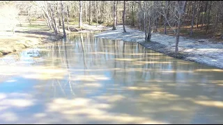 Neglected Pond Cleanup Finished And Island Removed