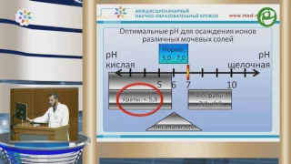 Галиев Н А - Этиология и патогенез МКБ  Теории камнеобразования