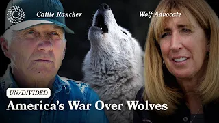 America’s War Over Wolves | UN/DIVIDED