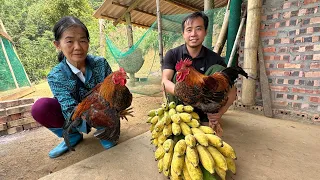 Customers come to Jhony's farm to buy chickens