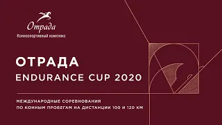 Международные соревнования по конным пробегам  Отрада Endurance Cup 2020 Дистанции 100 и 120 км