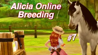 Alicia Online Chill Breeding Commentary