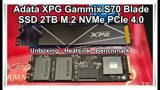 Adata XPG Gammix S70 Blade M.2 2TB NVMe PCI Express 4.0 - PS5 Compatible