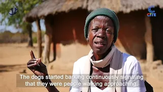 Documentary: Missing Persons In Zimbabwe