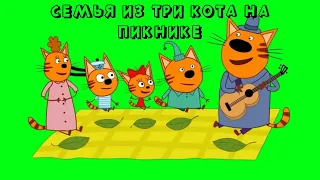 СЕМЬЯ из ТРИ КОТА на ПИКНИКЕ / ФУТАЖ ТРИ КОТА