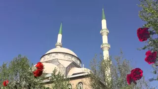 Fatiha  ihlas  Felak  Nas  Kadr  Ayetel Kursi Amenerrasulü