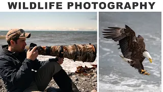 Bald Eagle | WILDLIFE PHOTOGRAPHY | Most Incredible Experience I've Had with an Eagle