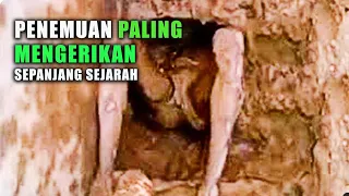 Penemuan Tengkorak Paling Mengerikan Sepanjang Sejarah Yang Tidak Bisa Di Jelaskan