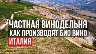 Экскурсия на частную винодельню Медведева. Производство био вина. Италия.