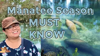 Crystal River Manatee Season: Things To Know Before You Go