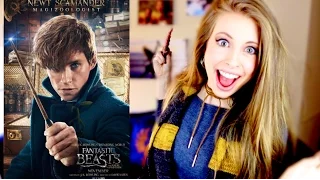 Fantastic Beasts and Where to Find Them Movie Review and Discussion