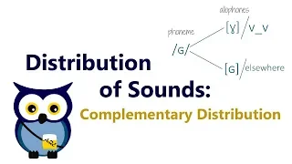 Distribution of Sounds: Complementary Distribution