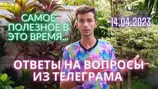 🌏 ОТВЕТЫ НА ВОПРОСЫ 14.04.2023 КВАНТОВЫЙ ПЕРЕХОД АВТОНОМЫ Разрушение системы вспышка Фидря Юрия