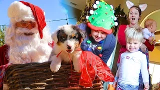 CHRISTMAS PUPPY SURPRISE! - SANTA CAUGHT ON CAMERA- Daily Bumps Christmas Special 2016!