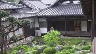 » Mein Austauschjahr « in Japan [金剛寺] #3