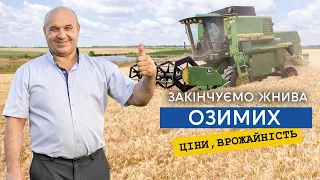 Здали ячмінь по 4300. Закінчуємо жнива озимих культур. Врожайність та ціни на зерно.