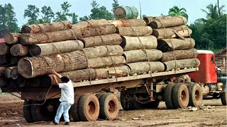 Amazing Dangerous Biggest Logging Wood Truck Operator Skill - Fastest Climbing Wood Truck Driving #1