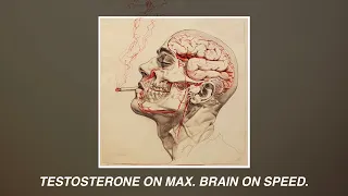 Nicotine as nootropic (cognitive enhancer) and testosterone boosting implications.