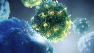 Natural killer cells & CAR T cell therapy | immunotherapy animation