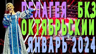 Пелагея | концерт 20.01.2024 | БКЗ Октябрьский Санкт-Петербург