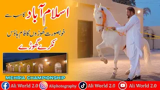 Adnan Shehzad Arain | Mehria Championship | Interview | Ali World.