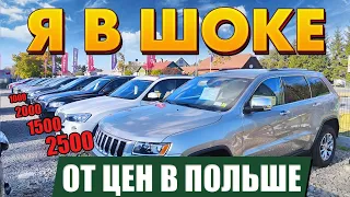 Я в недоумении! С чего вдруг у поляков такие цены на авто?