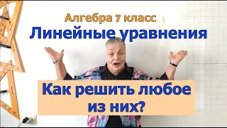 Как решать линейные уравнения. План решения любого линейного уравнения. Алгебра 7 класс.