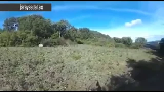 Dispara a un jabalí y cuando va a verlo recibe un brutal ataque