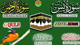 Ep 220 Surah Yaseen 🕌 Surah rahman 🕋 Surah Waqiah 🕋 Surah Mulk 🕋 4 Quls @IQRAALQURANKARIM ✅️