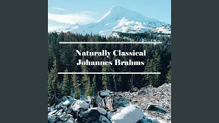 Johannes Brahms - 16 Waltzes, Op.39 - No.10 in G