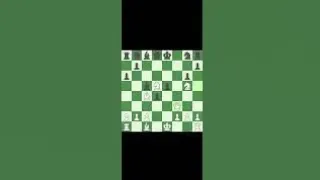 Chess Brilliant Checkmate Your Opponent 14 Move: Tips and Tricks || #chess