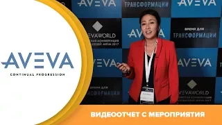 AVEVA. Сочи. Апрель 2017