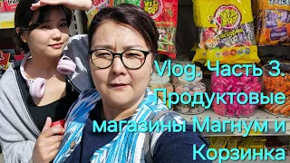 Vlog. Часть 3. Ташкент. Продуктовые магазины  Magnum, Korzinka.