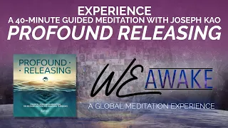 WeAwake Global Meditation Experience (Profound Releasing by Joseph Kao) - December 28, 2022