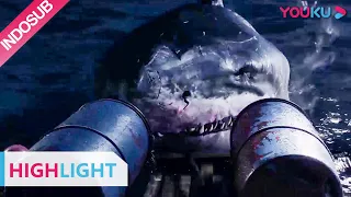 Highlight (Huge Shark) Seorang gadis cantik terjebak di tengah laut  | YOUKU [INDO SUB]