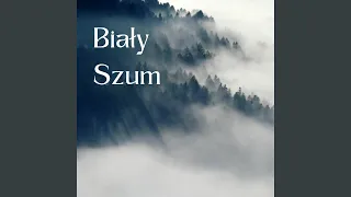 Biały Szum na koncentrację