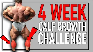 4 week Calf Growth Challenge (How Big Can They Get)