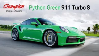 Champion Porsche | Python Green 911 Turbo S