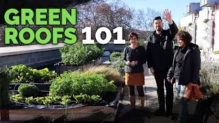 Green Roof Fundamentals: Building an Epic Rooftop Garden 🏠🌱