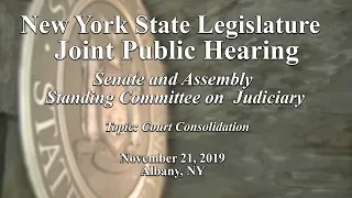 Joint – Senate & Assembly Standing Committees on Judiciary Public Hearing - 11/21/19