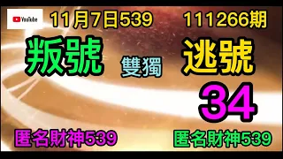 11月7日.539.上期開出01號.(3中1)01號.