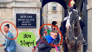 You Won't Believe What This "Stupid" Tourist Did