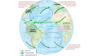 Ocean Circulation (OCE-1001)