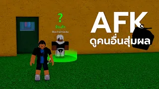 AFK 24 ชั่วโมง ดูคนสุ่มผล | Blox Furits